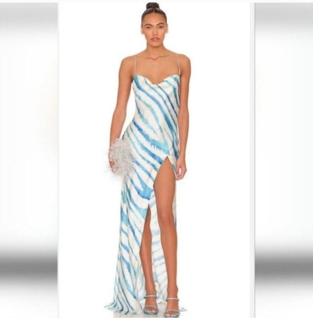 Retrofete Amika Dress in Blue Zebra Size XL Maxi Sleeveless Silk